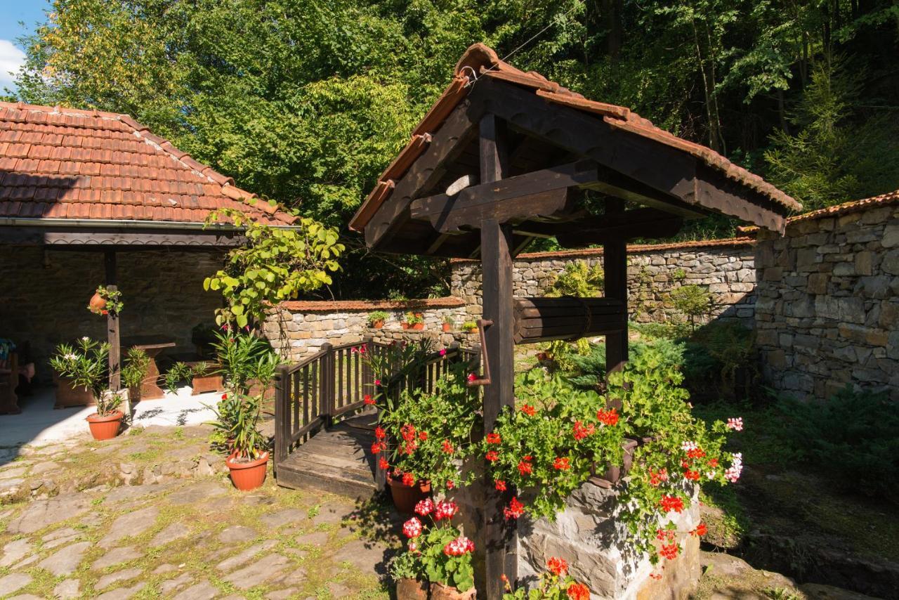 Family Hotel Bile Beli Osum Exterior photo
